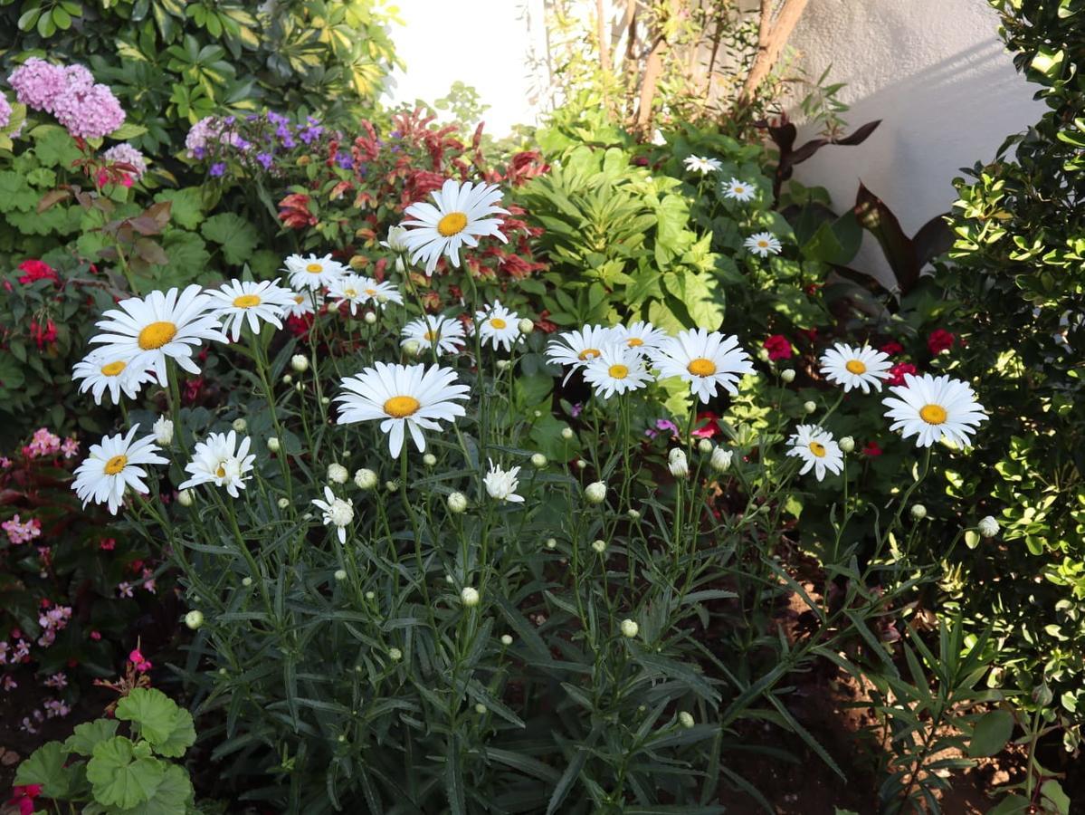 Erdeti Boutique Hotel *